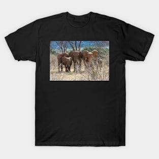 Elephant Family T-Shirt